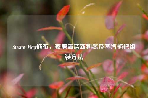 Steam Mop拖布,家居清洁新利器及蒸汽拖把组装方法