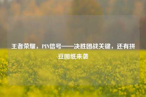 王者荣耀,PIN信号——决胜团战关键,还有拼豆图纸来袭