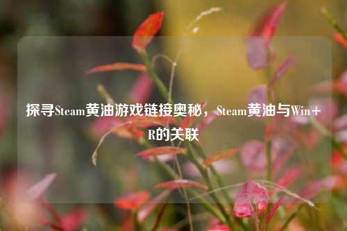探寻Steam黄油游戏链接奥秘,Steam黄油与Win+R的关联