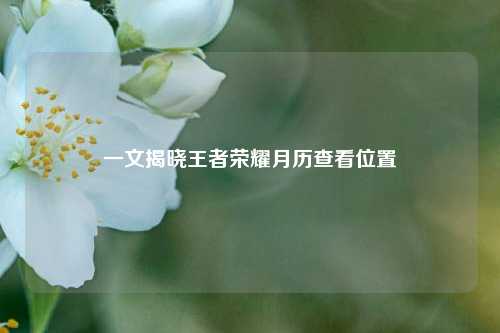 一文揭晓王者荣耀月历查看位置