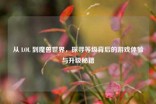 从 LOL 到魔兽世界，探寻等级背后的游戏体验与升级秘籍