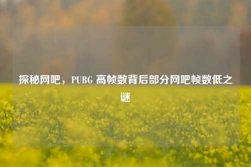 探秘网吧，PUBG 高帧数背后部分网吧帧数低之谜