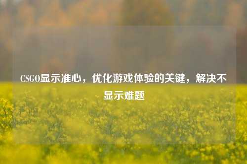 CSGO显示准心，优化游戏体验的关键，解决不显示难题