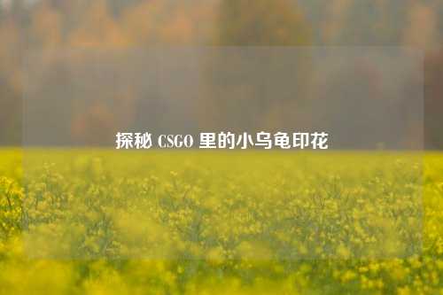 探秘 CSGO 里的小乌龟印花