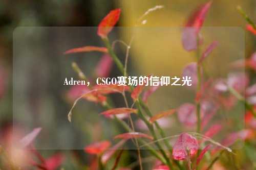 Adren，CSGO赛场的信仰之光