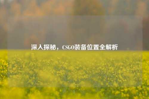 深入探秘,CSGO装备位置全解析
