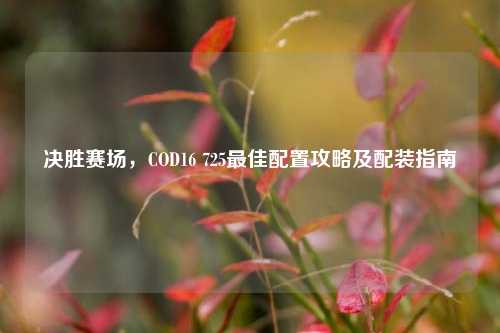决胜赛场,COD16 725最佳配置攻略及配装指南