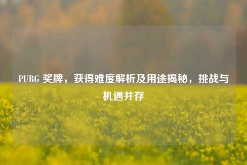 PUBG 奖牌,获得难度解析及用途揭秘,挑战与机遇并存