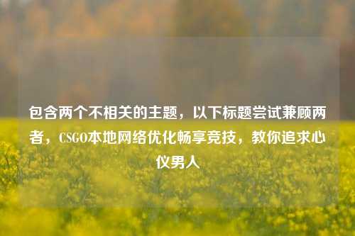 包含两个不相关的主题,以下标题尝试兼顾两者,CSGO本地网络优化畅享竞技,教你追求心仪男人
