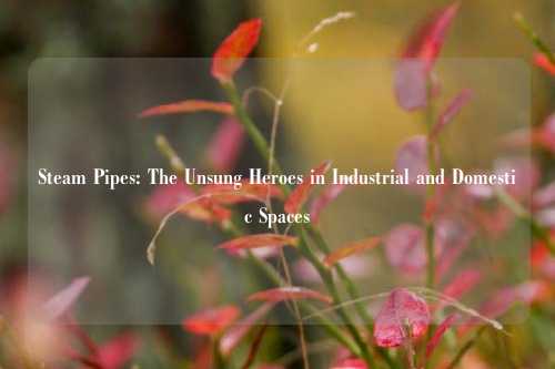 Steam Pipes: The Unsung Heroes in Industrial and Domestic Spaces