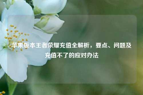 苹果版本王者荣耀充值全解析,要点、问题及充值不了的应对办法