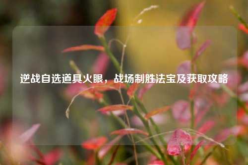 逆战自选道具火眼，战场制胜法宝及获取攻略