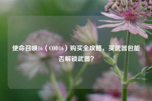 使命召唤16（COD16）购买全攻略，买武器包能否解锁武器？