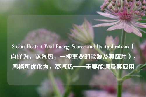 Steam Heat: A Vital Energy Source and Its Applications(直译为,蒸汽热,一种重要的能源及其应用),风格可优化为,蒸汽热——重要能源及其应用