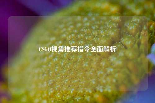 CSGO视角推荐指令全面解析