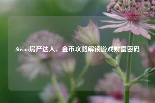 Steam房产达人,金币攻略解锁游戏财富密码