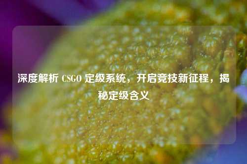 深度解析 CSGO 定级系统,开启竞技新征程,揭秘定级含义