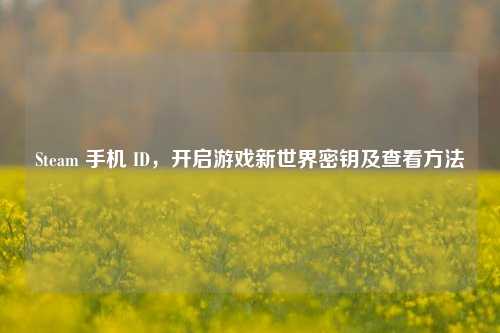 Steam 手机 ID，开启游戏新世界密钥及查看方法