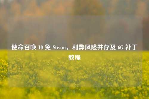 使命召唤 10 免 Steam,利弊风险并存及 6G 补丁教程