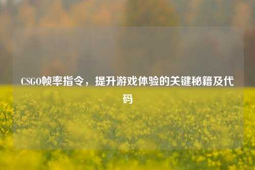 CSGO帧率指令，提升游戏体验的关键秘籍及代码