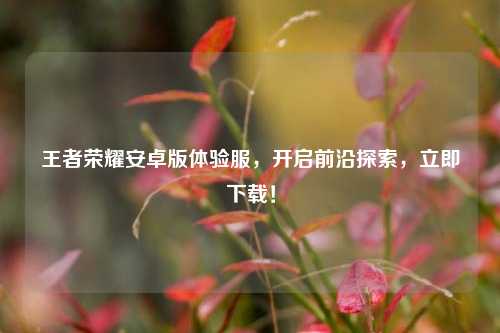 王者荣耀安卓版体验服,开启前沿探索,立即下载!