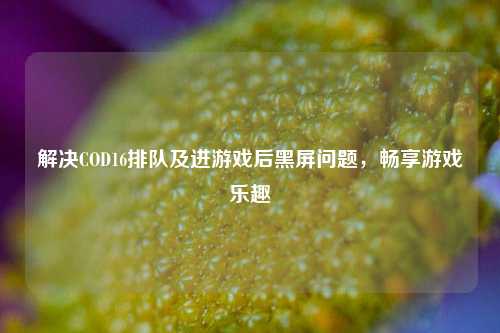 解决COD16排队及进游戏后黑屏问题,畅享游戏乐趣