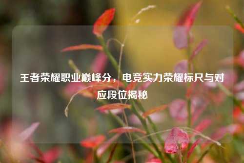 王者荣耀职业巅峰分,电竞实力荣耀标尺与对应段位揭秘