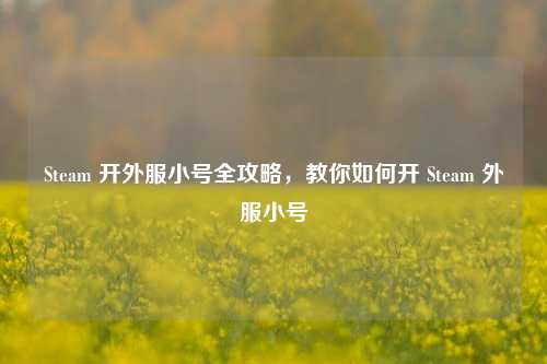 Steam 开外服小号全攻略，教你如何开 Steam 外服小号
