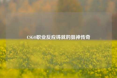 CSGO职业反应铸就的狙神传奇