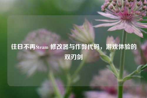 往日不再Steam 修改器与作弊代码，游戏体验的双刃剑
