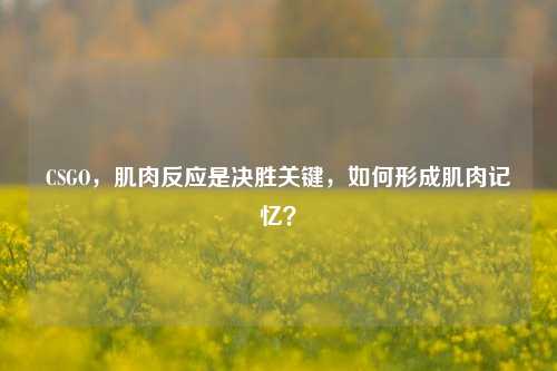 CSGO,肌肉反应是决胜关键,如何形成肌肉记忆?