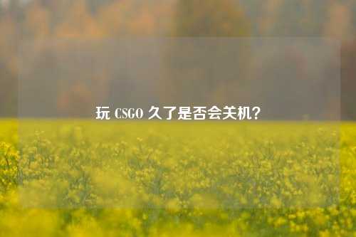 玩 CSGO 久了是否会关机?