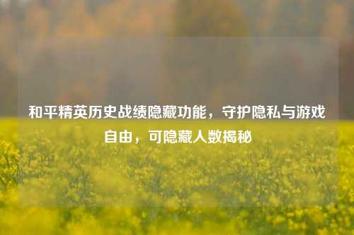 和平精英历史战绩隐藏功能,守护隐私与游戏自由,可隐藏人数揭秘