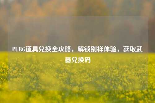 PUBG道具兑换全攻略,解锁别样体验,获取武器兑换码