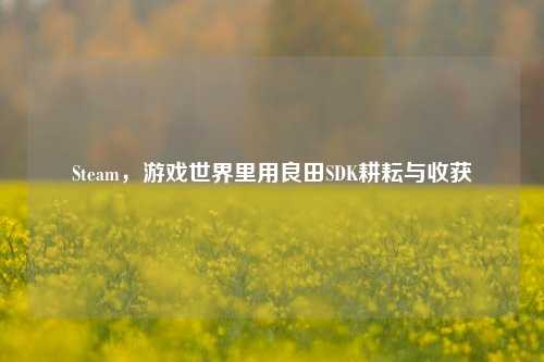 Steam,游戏世界里用良田SDK耕耘与收获