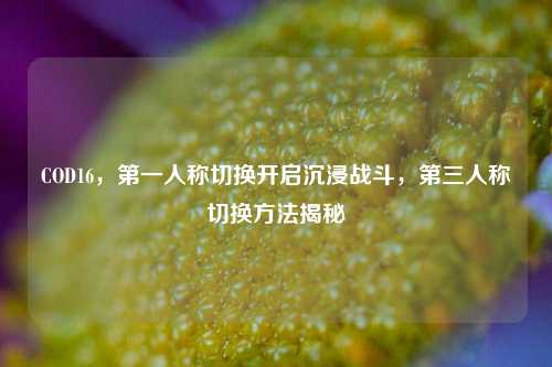 COD16,第一人称切换开启沉浸战斗,第三人称切换方法揭秘
