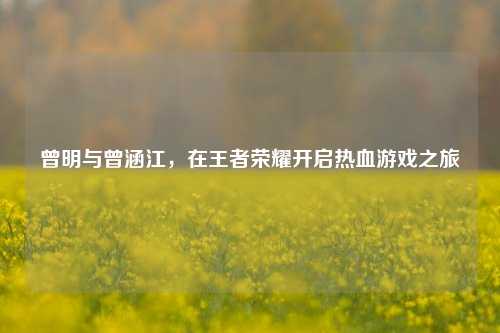 曾明与曾涵江，在王者荣耀开启热血游戏之旅