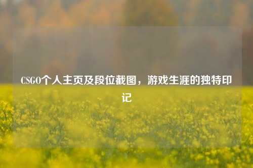 CSGO个人主页及段位截图，游戏生涯的独特印记