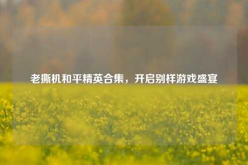 老撕机和平精英合集，开启别样游戏盛宴