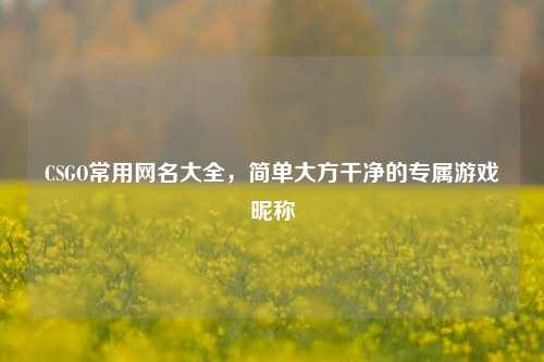 CSGO常用网名大全,简单大方干净的专属游戏昵称