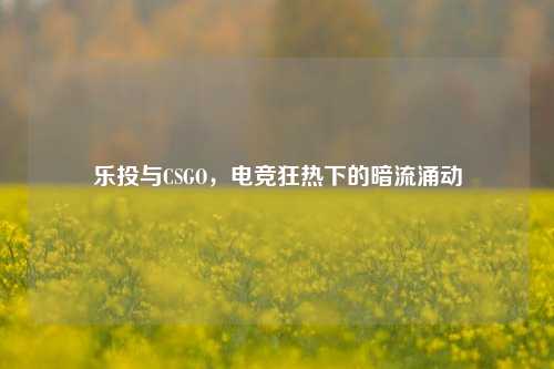 乐投与CSGO，电竞狂热下的暗流涌动