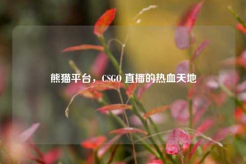 熊猫平台,CSGO 直播的热血天地