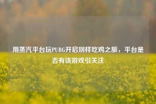 用蒸汽平台玩PUBG开启别样吃鸡之旅，平台是否有该游戏引关注