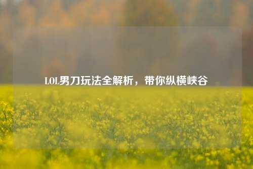 LOL男刀玩法全解析，带你纵横峡谷