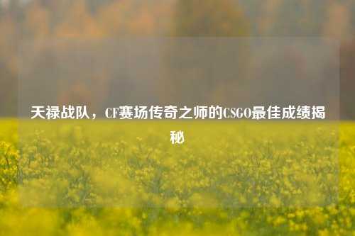 天禄战队,CF赛场传奇之师的CSGO最佳成绩揭秘