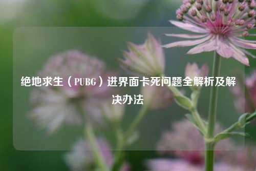 绝地求生(PUBG)进界面卡死问题全解析及解决办法