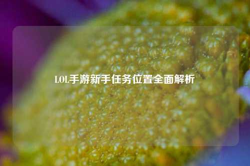 LOL手游新手任务位置全面解析