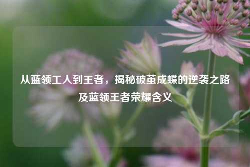 从蓝领工人到王者，揭秘破茧成蝶的逆袭之路及蓝领王者荣耀含义