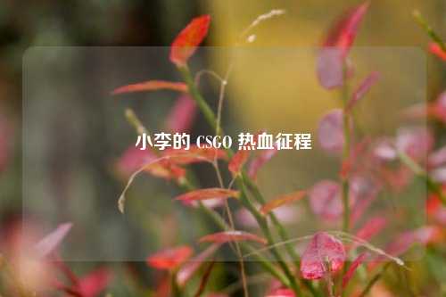 小李的 CSGO 热血征程