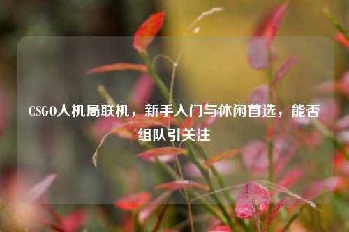 CSGO人机局联机，新手入门与休闲首选，能否组队引关注